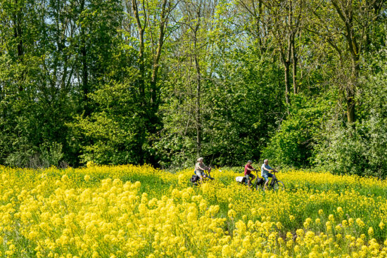 DSC06315 Hauwert 29042025 web 1920 x
